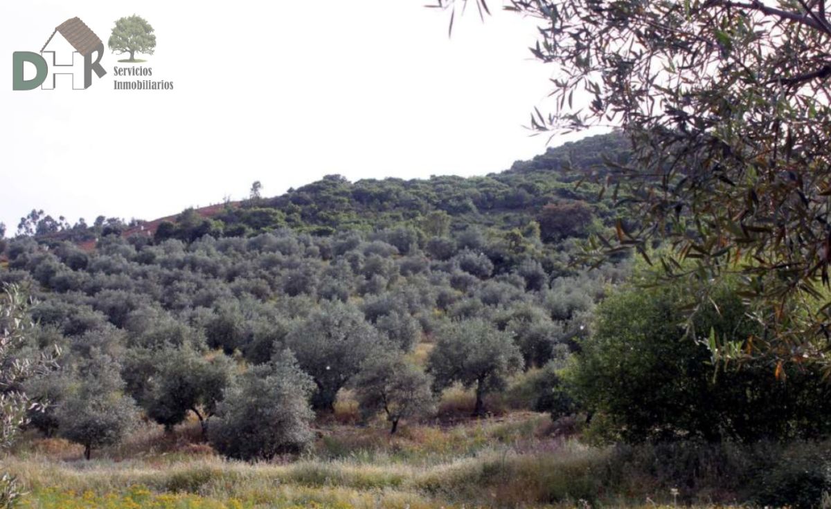 For sale of land in Cáceres