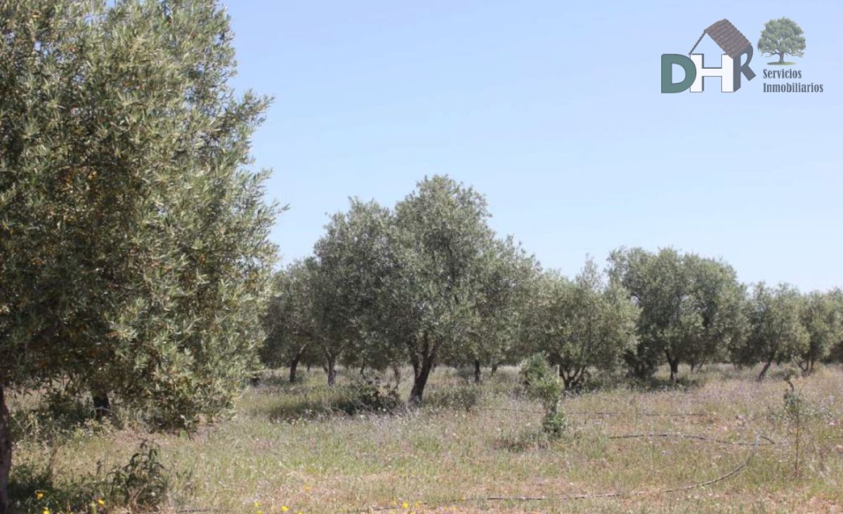 For sale of land in Cáceres