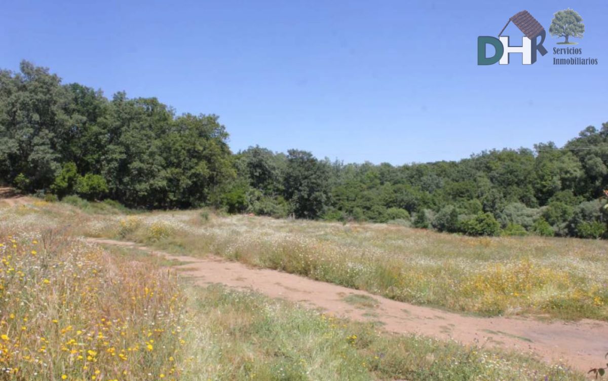 For sale of land in Plasencia