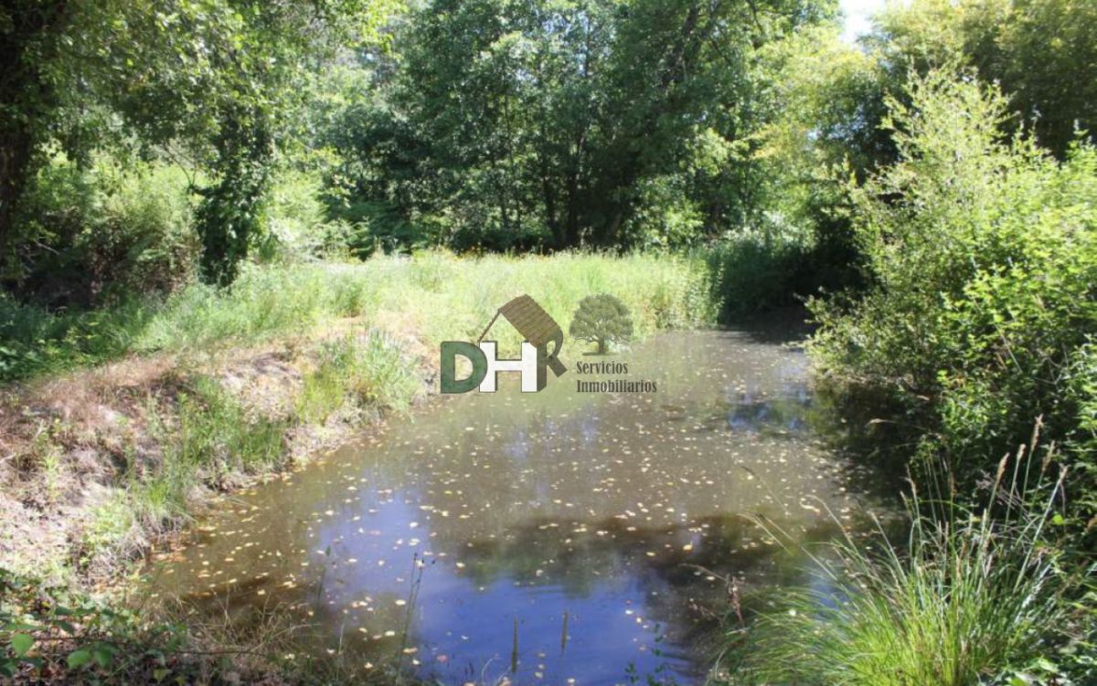 Venta de terreno en Plasencia Venta de terreno en Plasencia