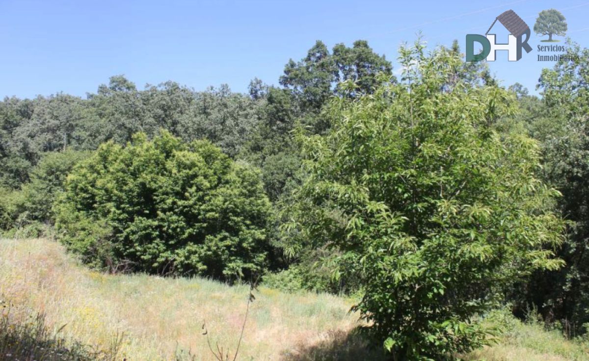 Venta de terreno en Plasencia Venta de terreno en Plasencia