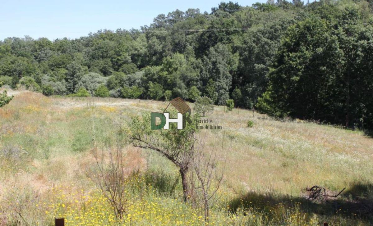 Venta de terreno en Plasencia Venta de terreno en Plasencia