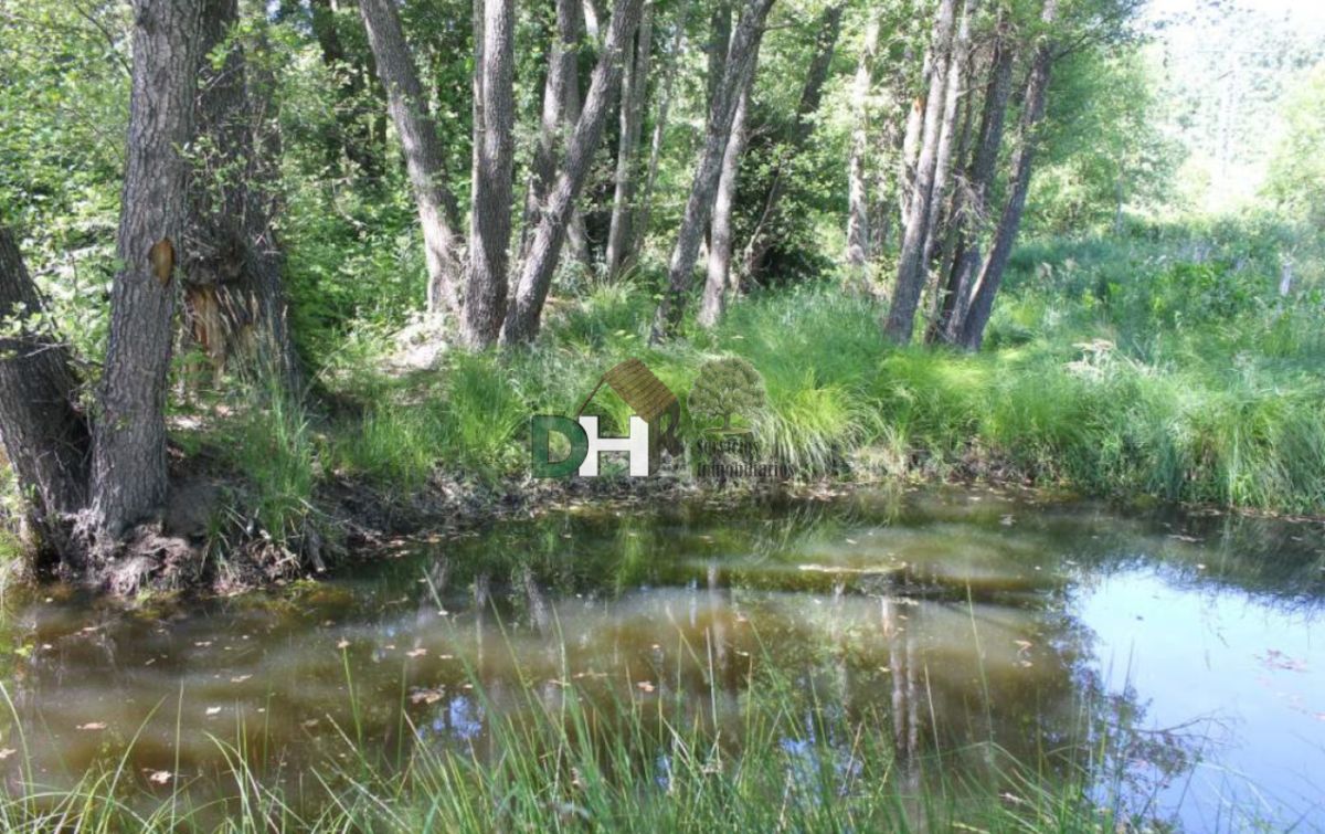 Venta de terreno en Plasencia Venta de terreno en Plasencia