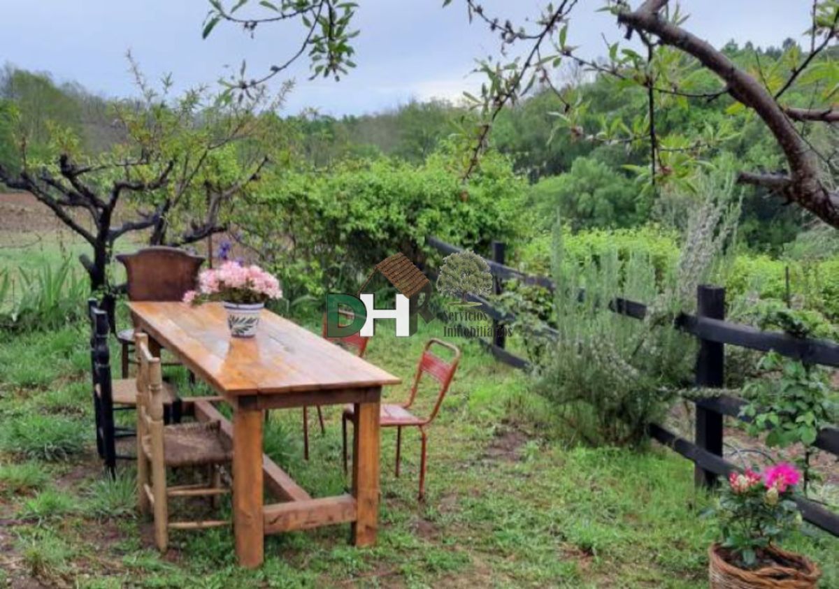 Venta de terreno en Plasencia Venta de terreno en Plasencia