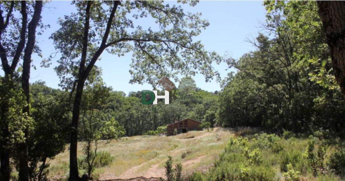 Venta de terreno en Plasencia Venta de terreno en Plasencia