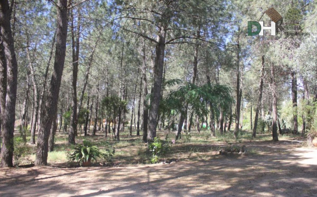 For sale of land in Alía