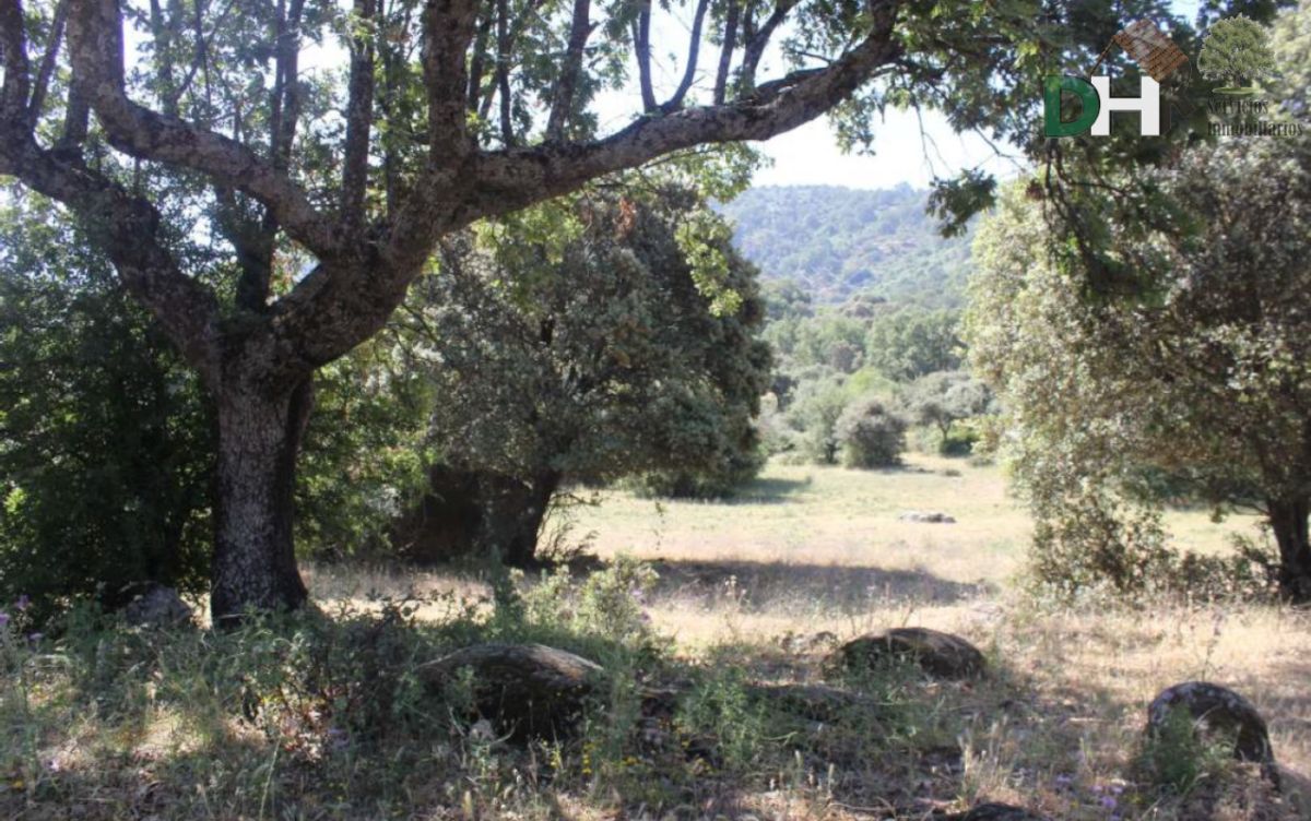 For sale of land in Cáceres