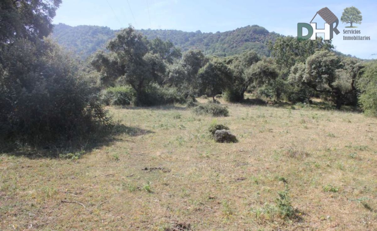 For sale of land in Cáceres