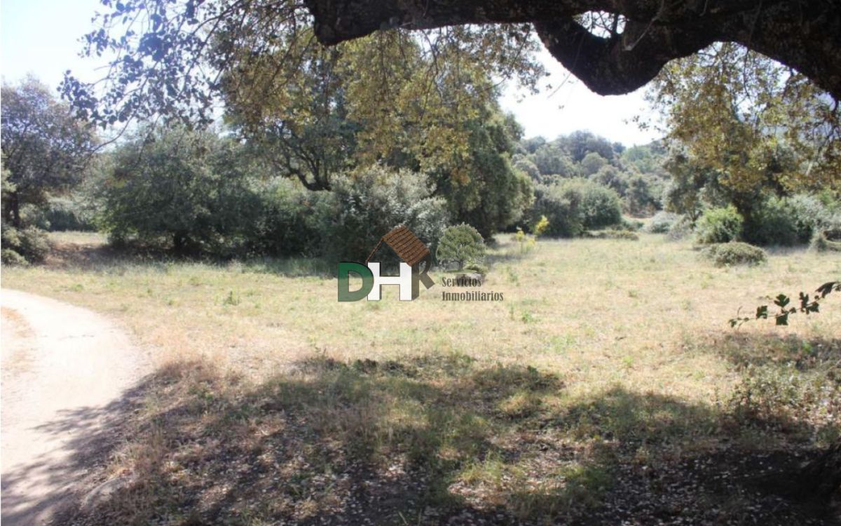 For sale of land in Cáceres