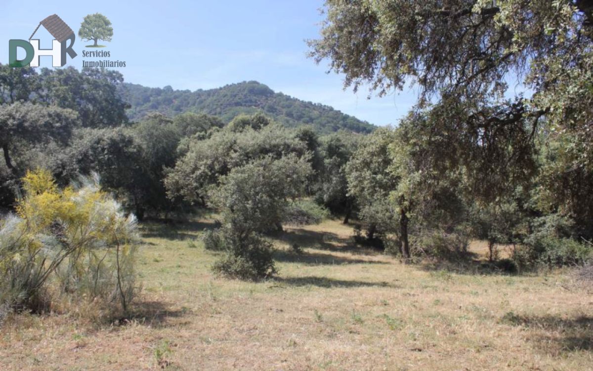 Venta de terreno en Cáceres