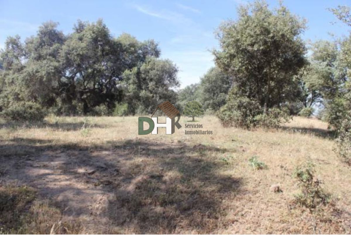 For sale of land in Cáceres