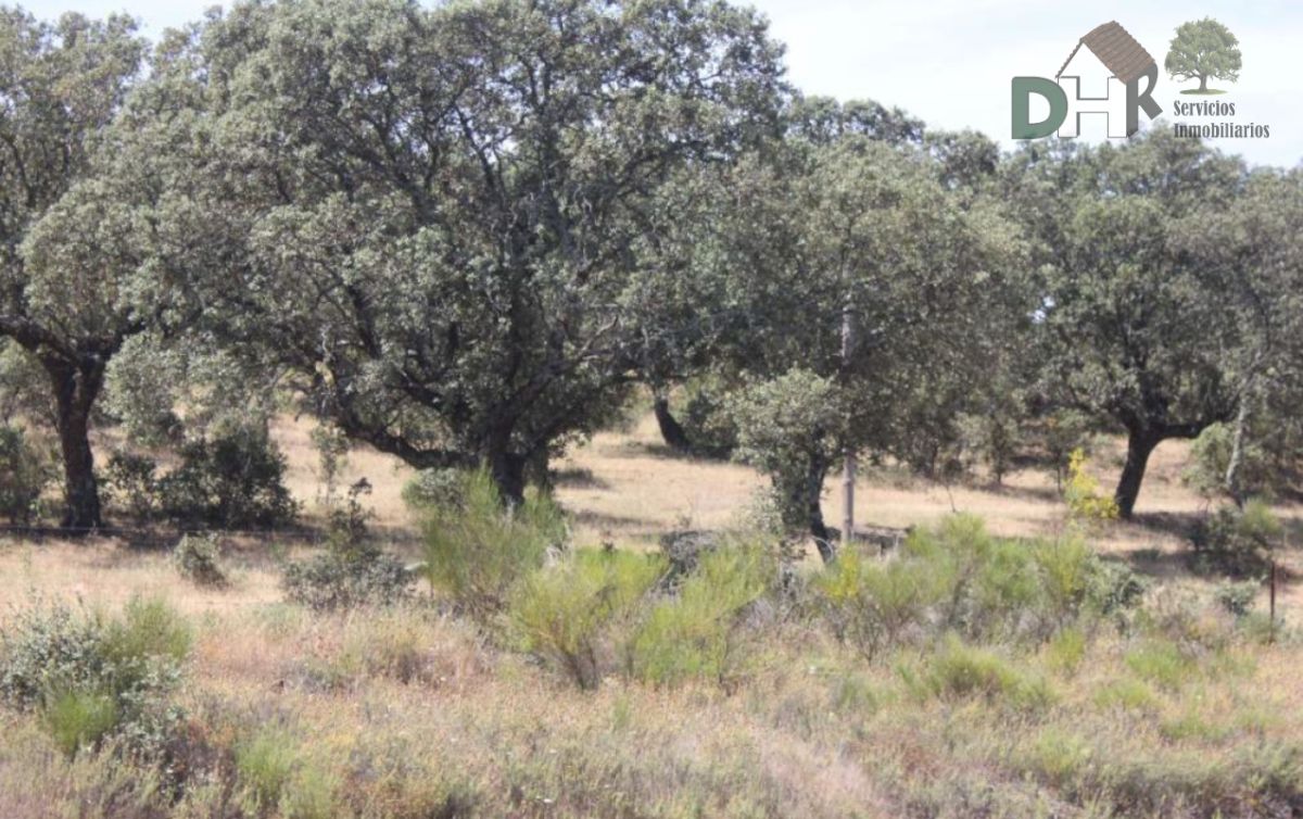 For sale of land in Cáceres