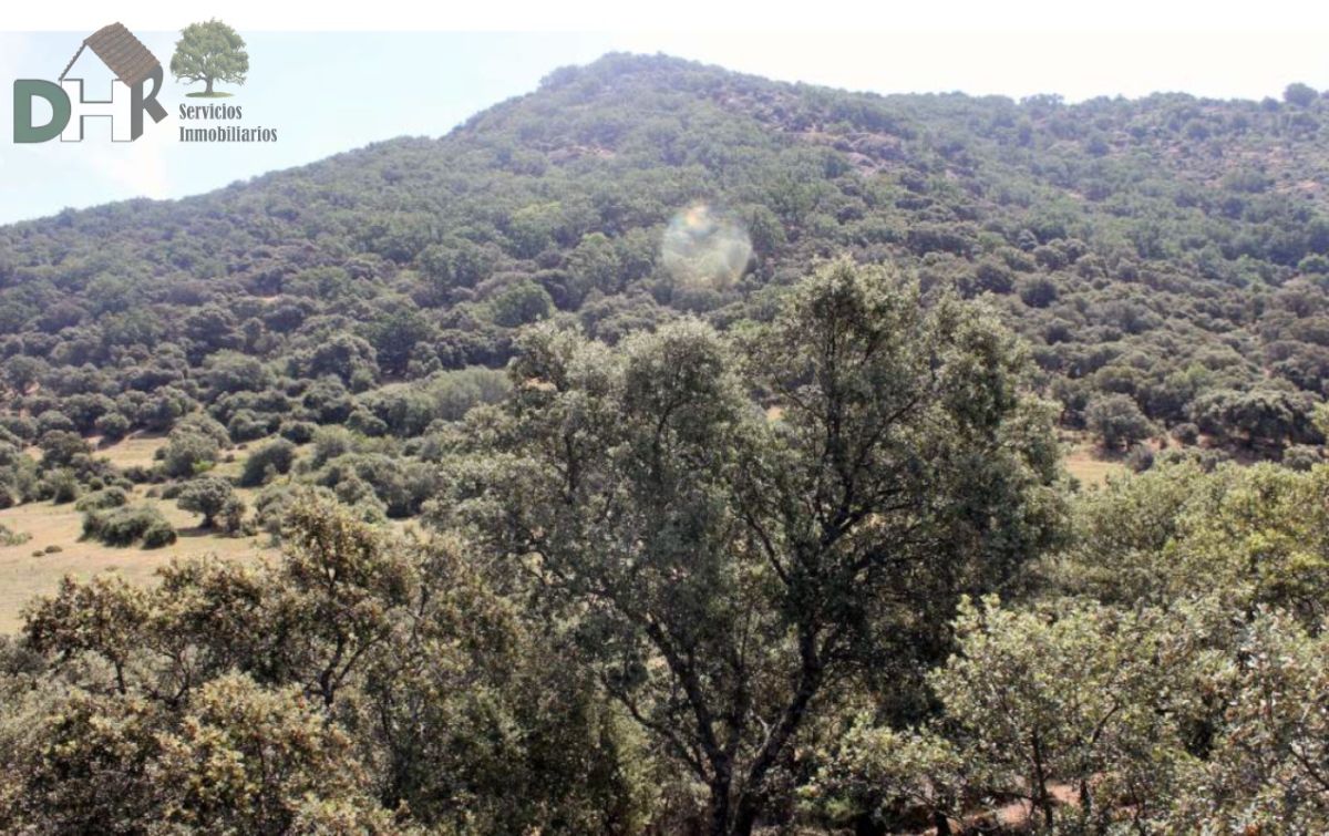 Venta de terreno en Cáceres