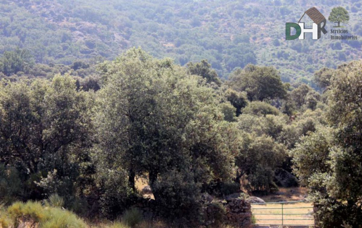 For sale of land in Cáceres