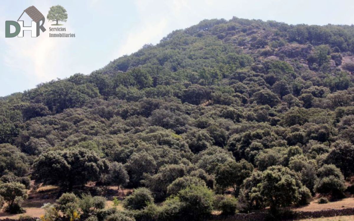 For sale of land in Cáceres