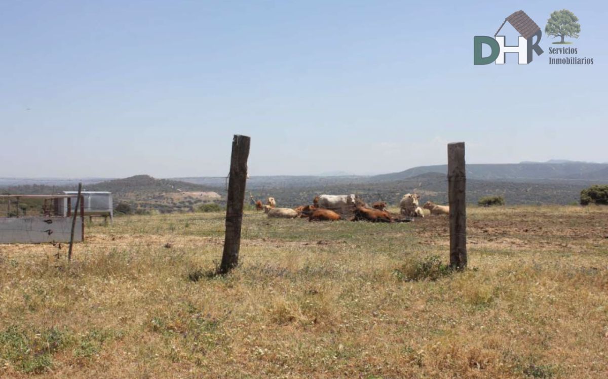 Venta de terreno en Cáceres