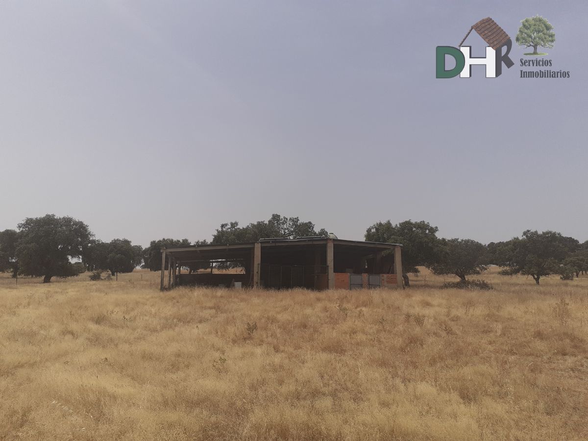 For sale of land in Talarrubias