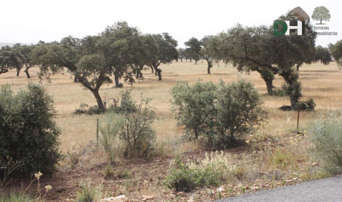 For sale of land in Badajoz