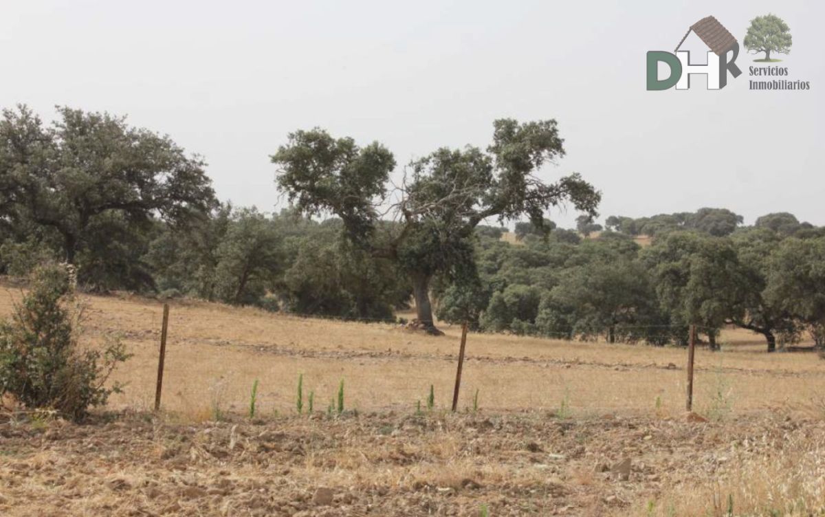 Venta de terreno en Badajoz