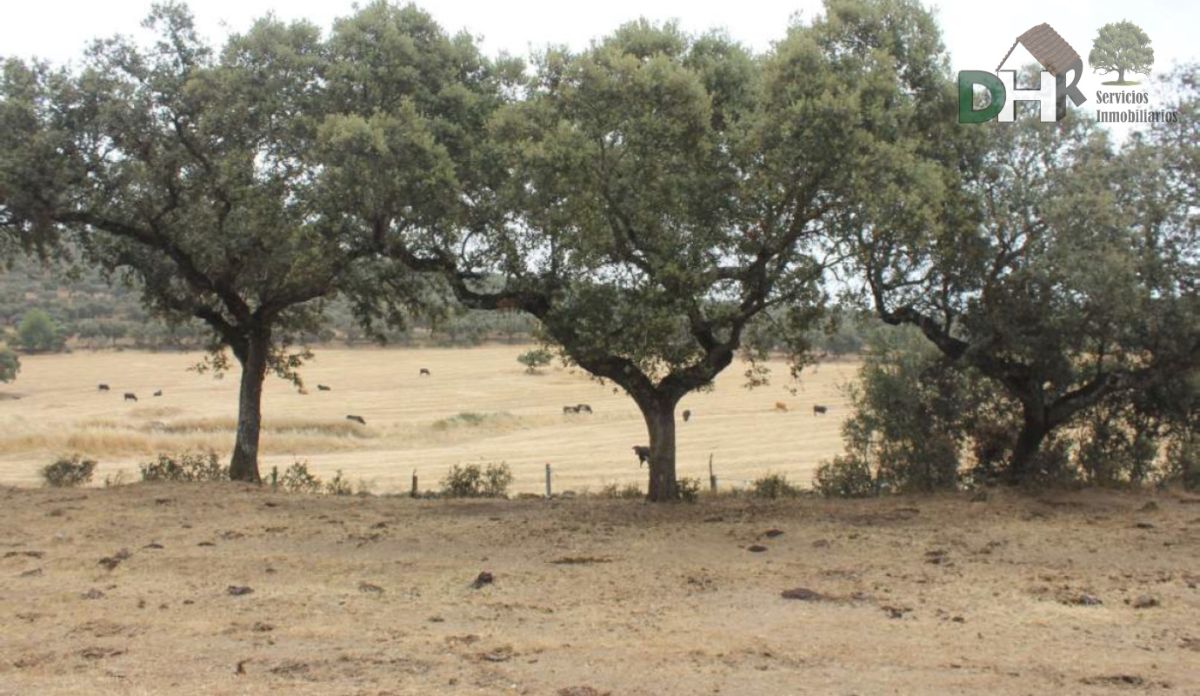 Venta de terreno en Badajoz