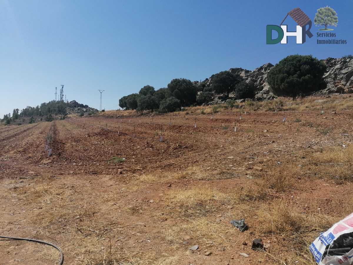 Venta de terreno en Magacela