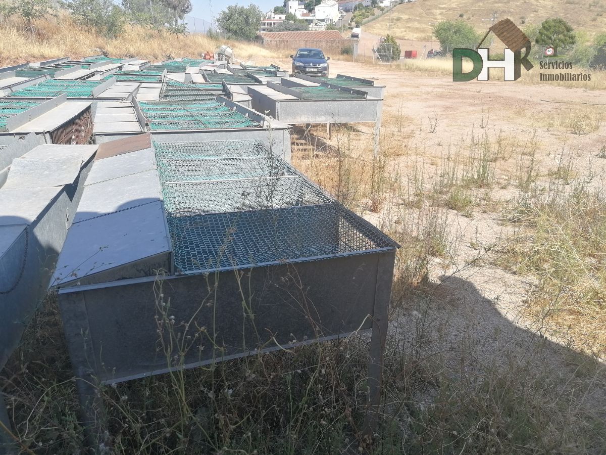 For sale of land in Magacela