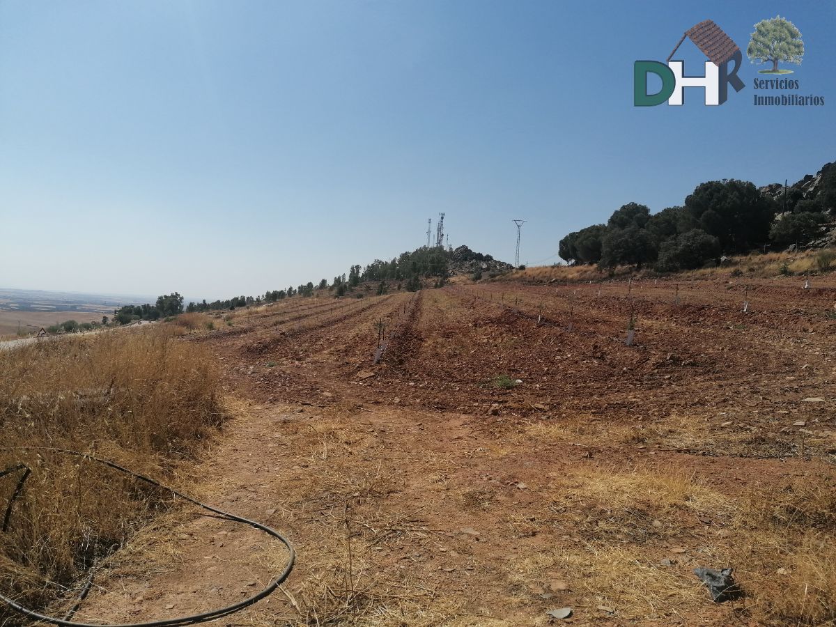 For sale of land in Magacela