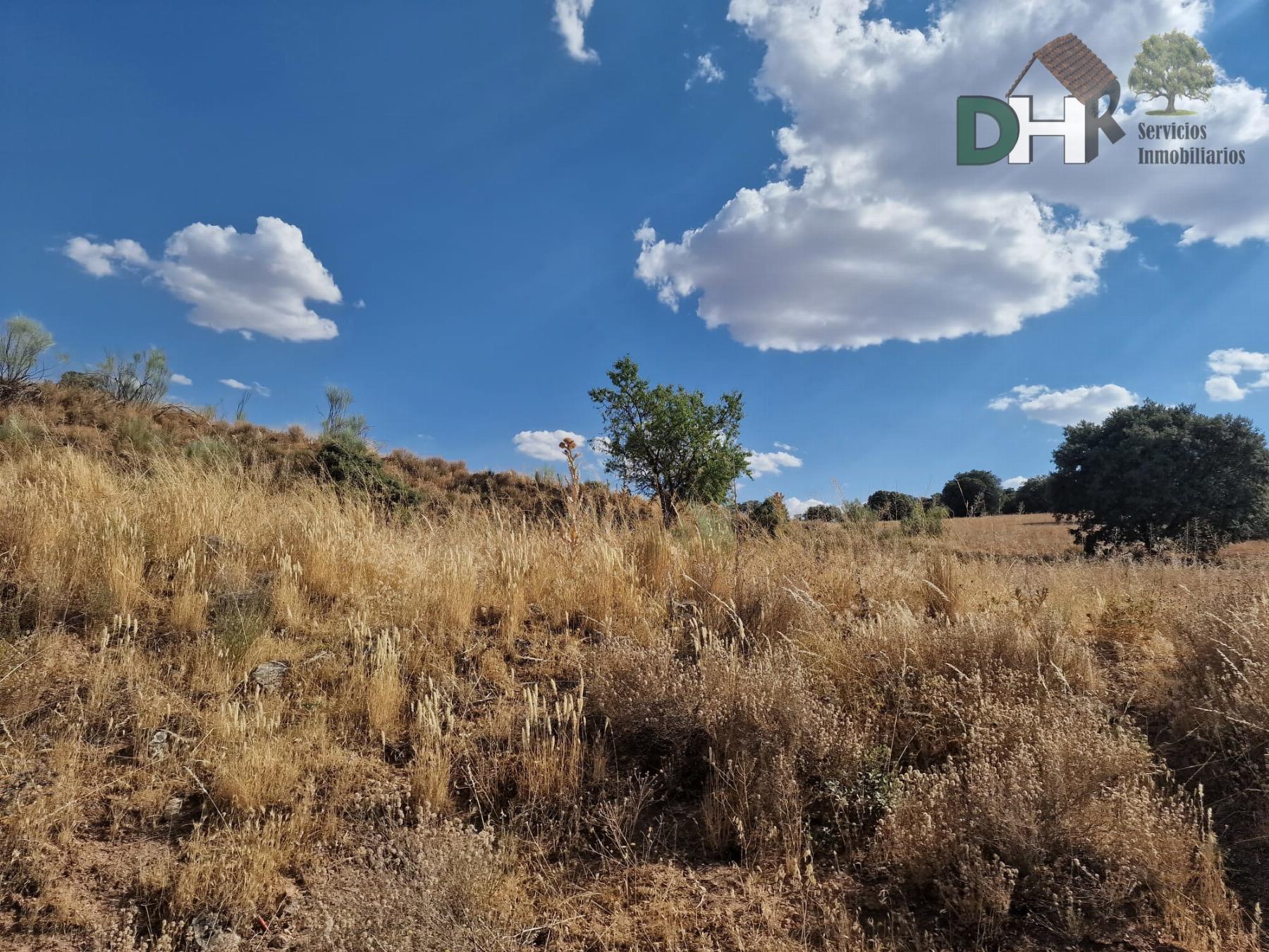 For sale of land in Ciudad Real