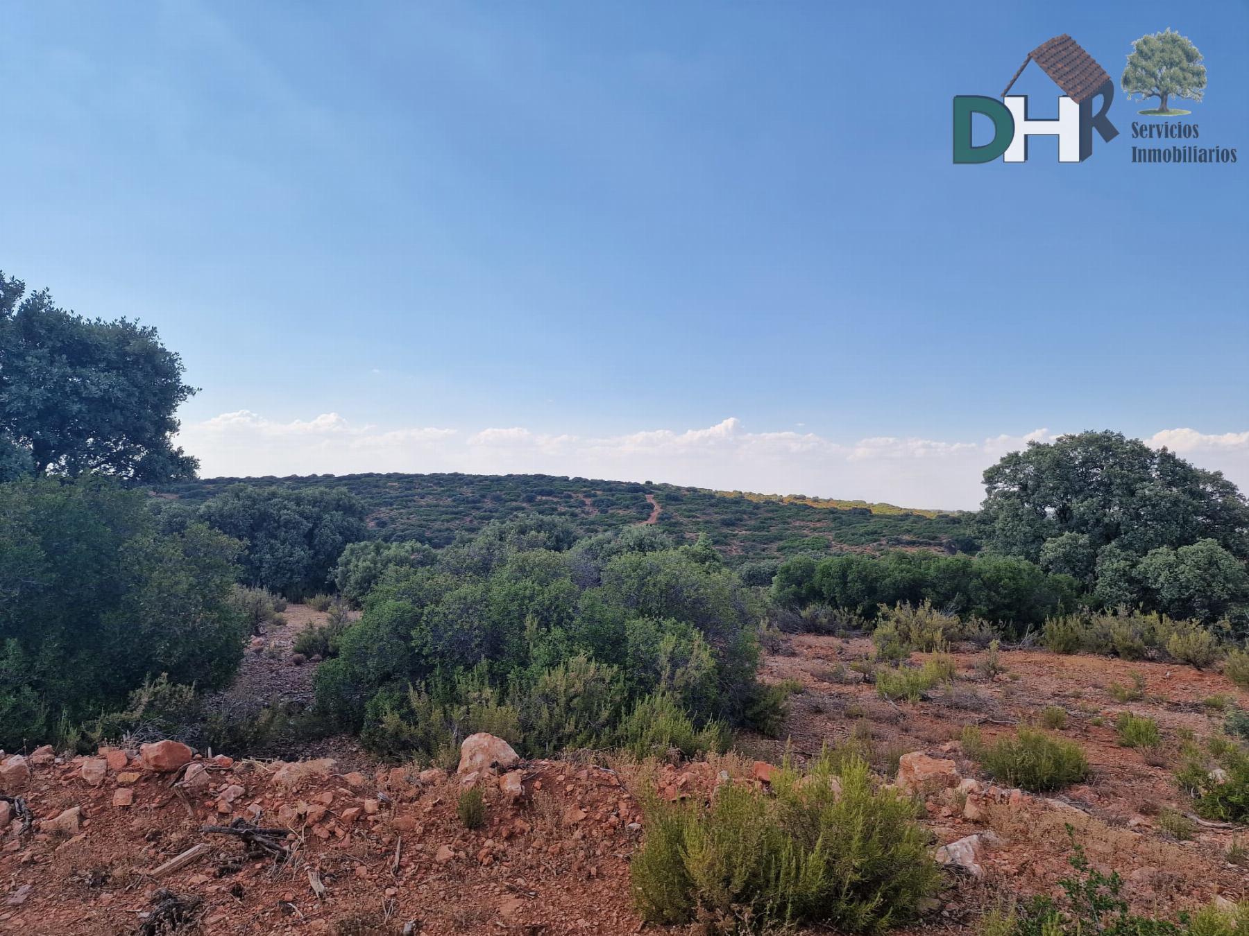 For sale of land in Ciudad Real