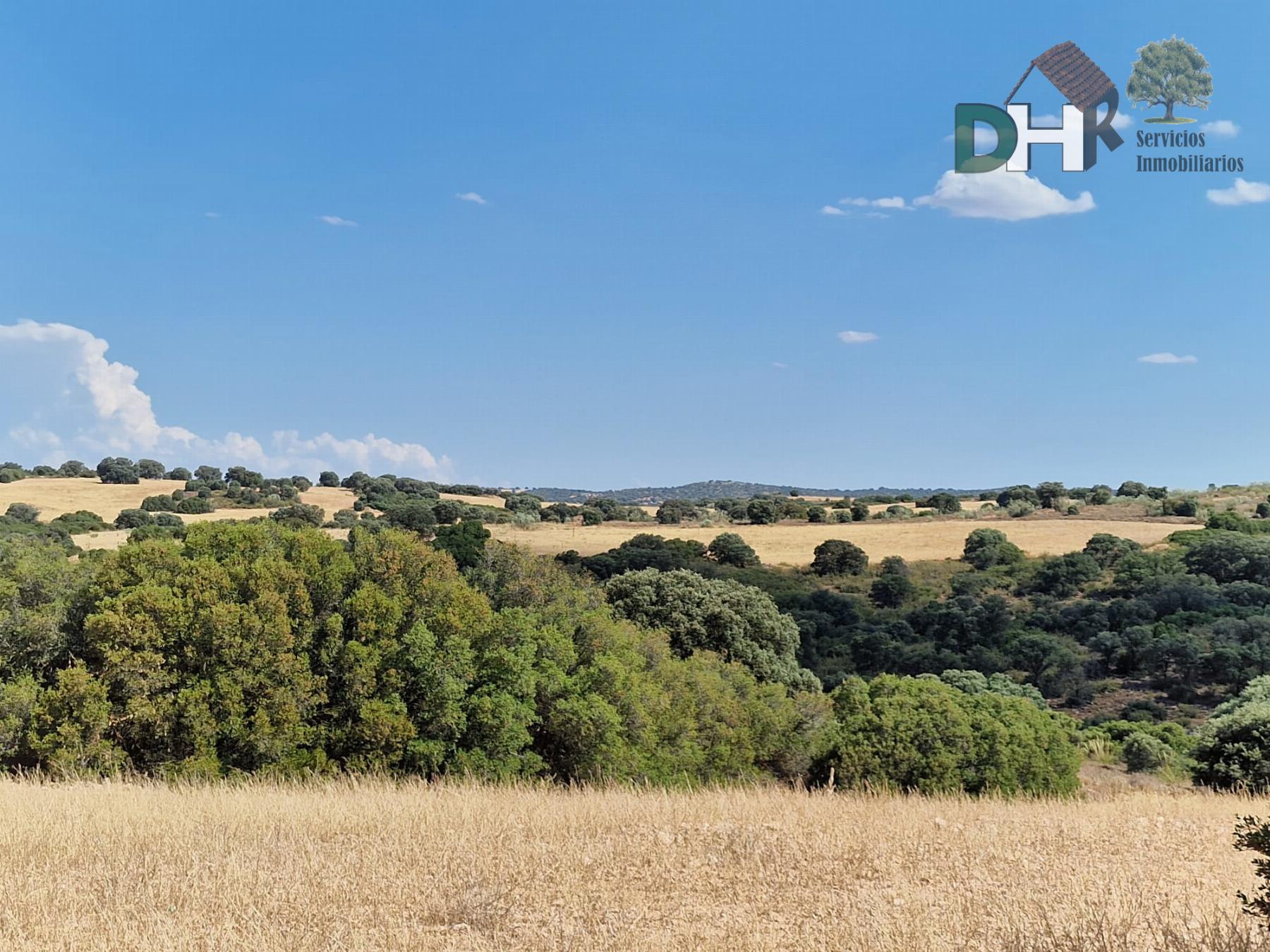 For sale of land in Ciudad Real