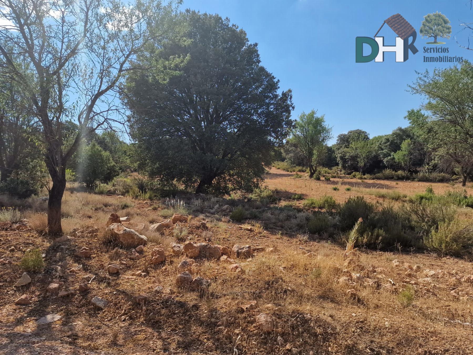 For sale of land in Ciudad Real