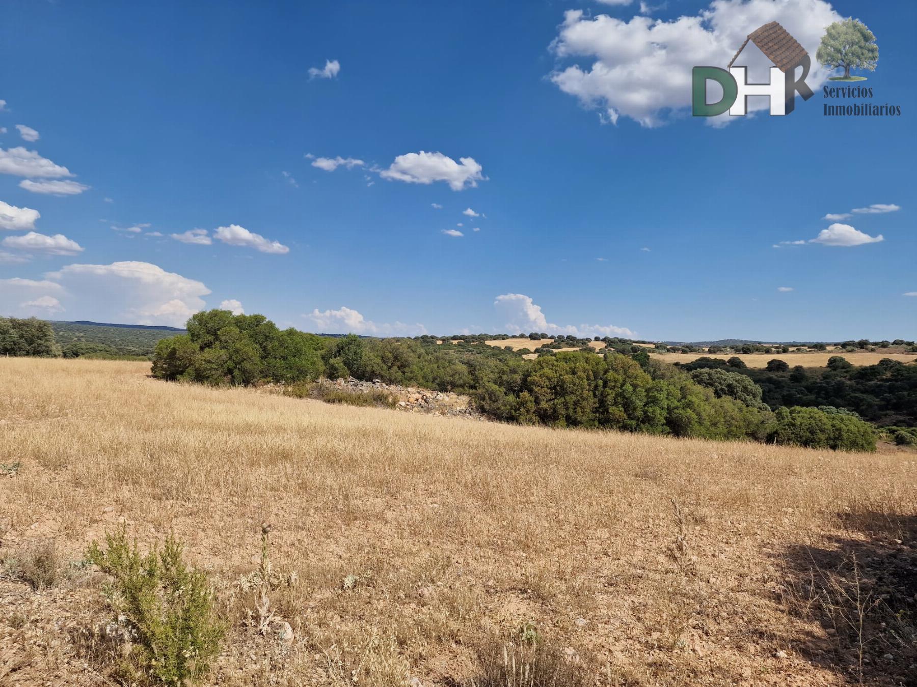 For sale of land in Ciudad Real