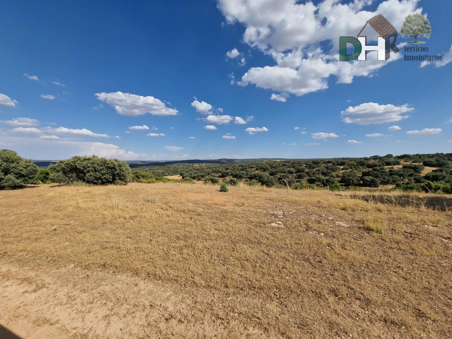 For sale of land in Ciudad Real