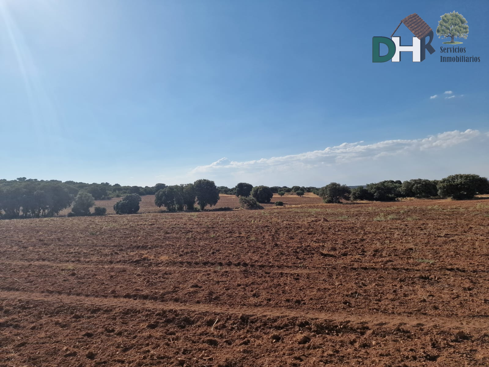 For sale of land in Ciudad Real