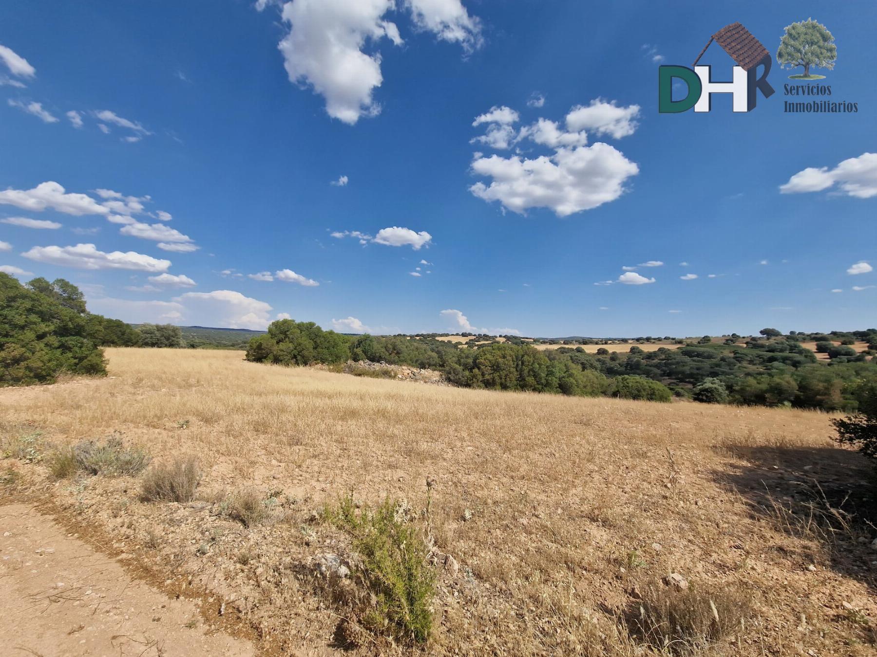 For sale of land in Ciudad Real