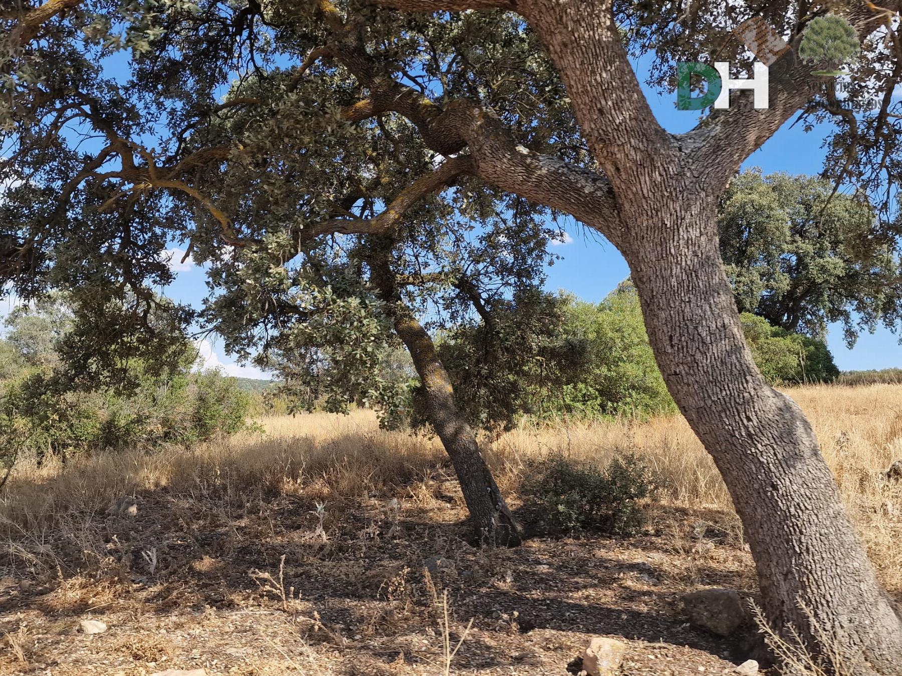 Venta de terreno en Ciudad Real