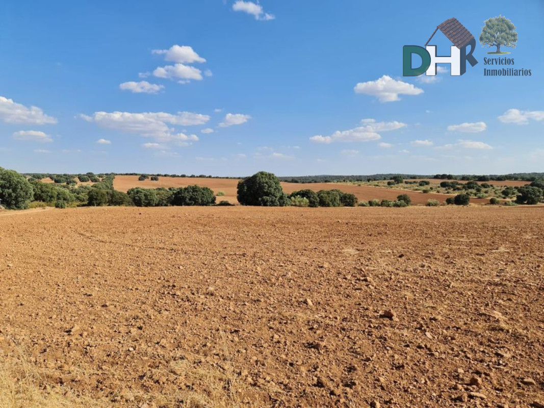 For sale of land in Ciudad Real