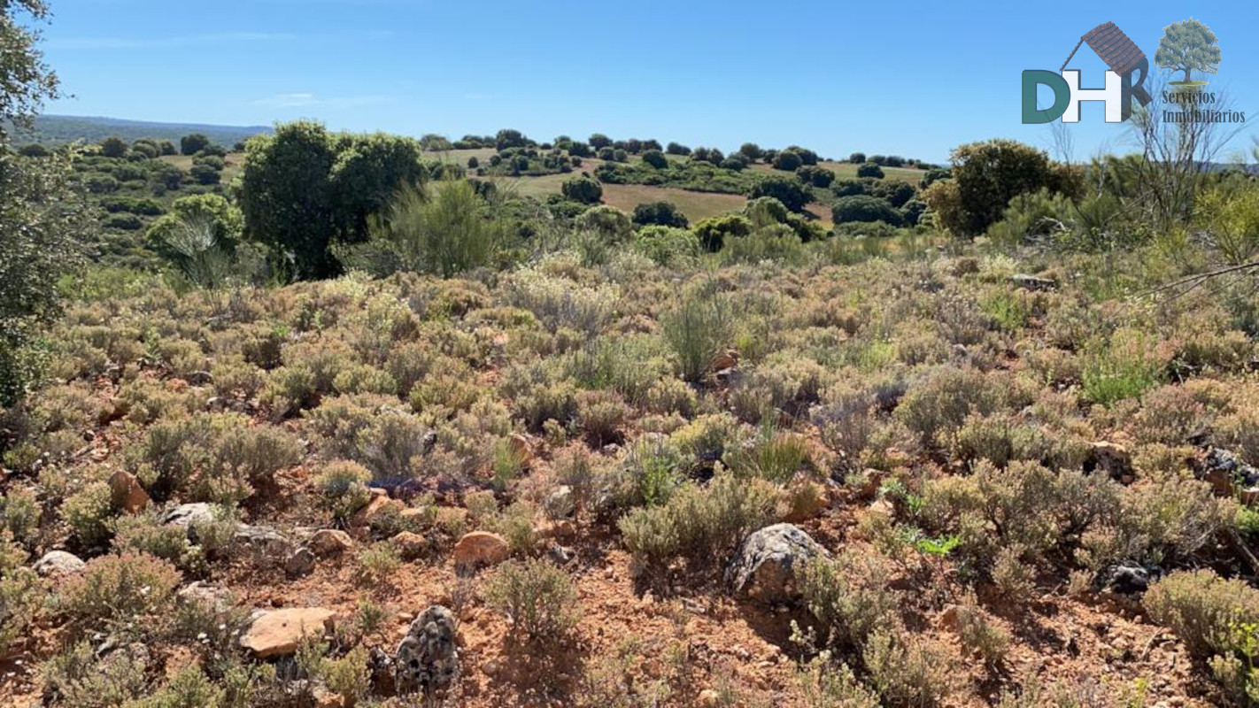 Venta de terreno en Ciudad Real