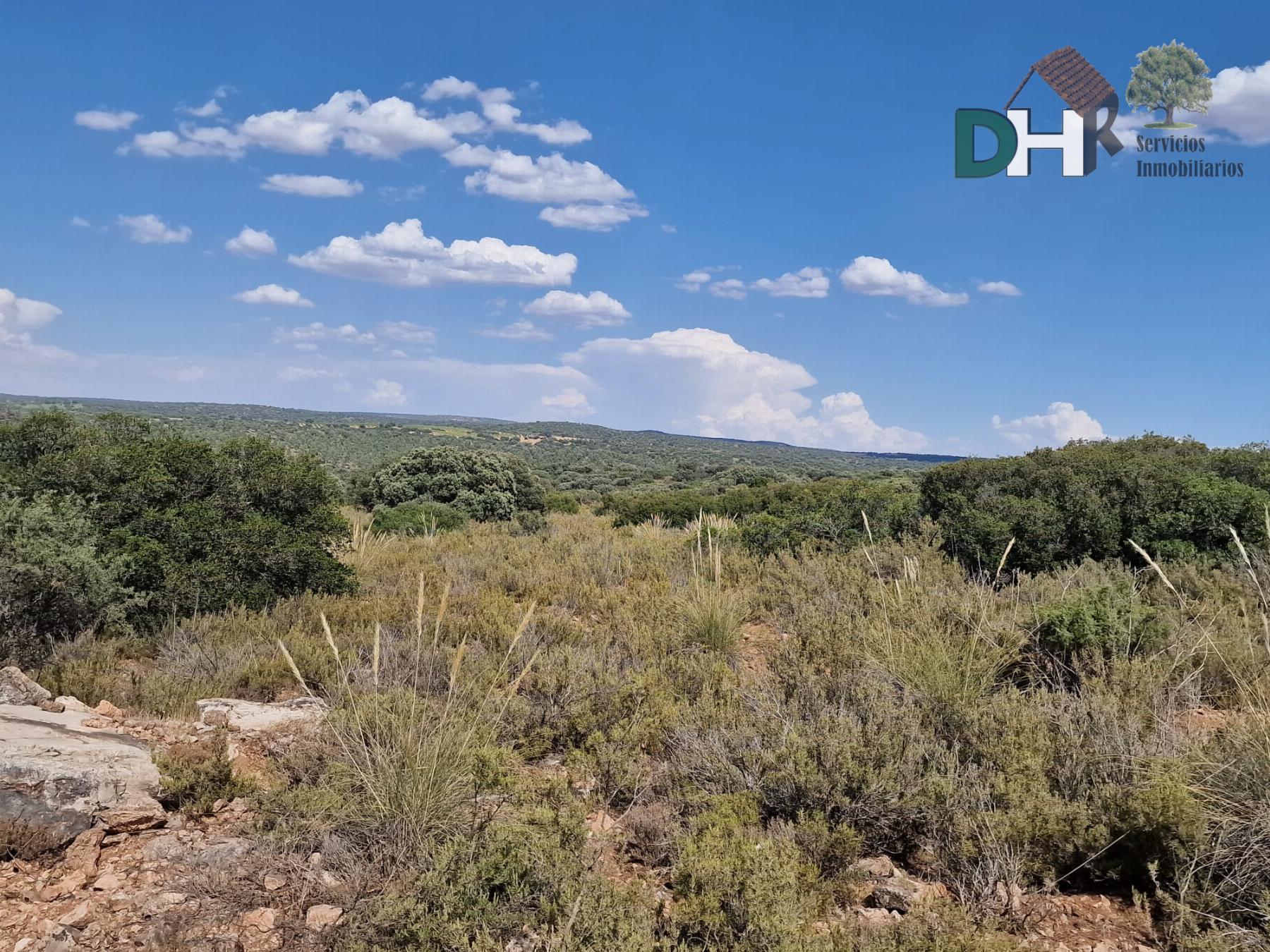 For sale of land in Ciudad Real