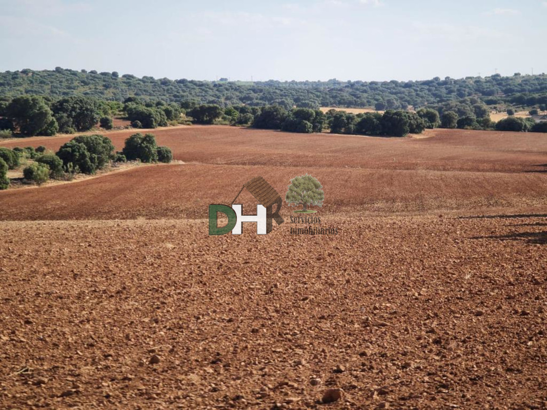 For sale of land in Ciudad Real