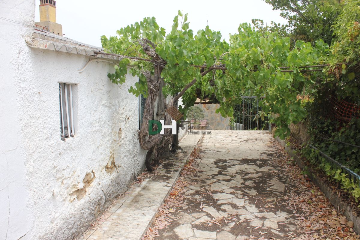 For sale of land in Jerez de los Caballeros