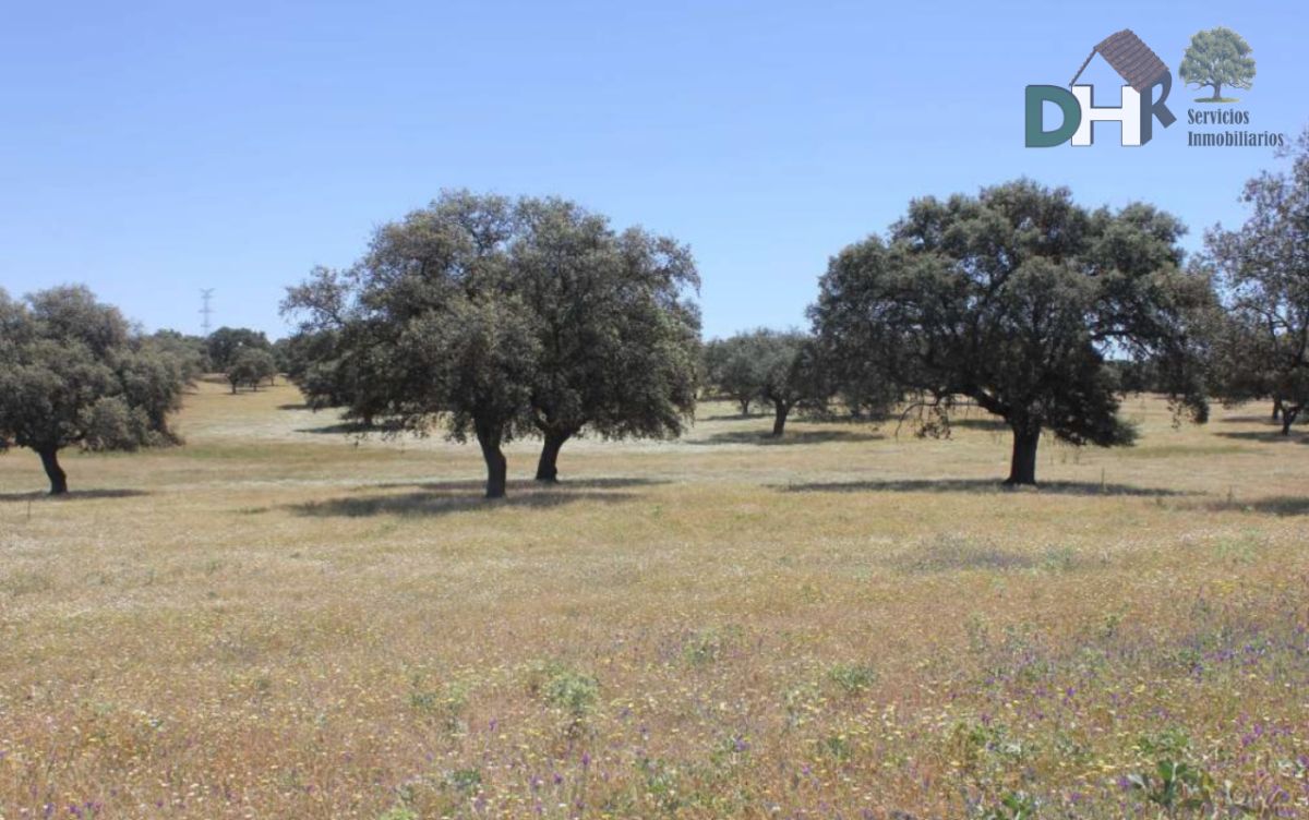 For sale of land in Cáceres