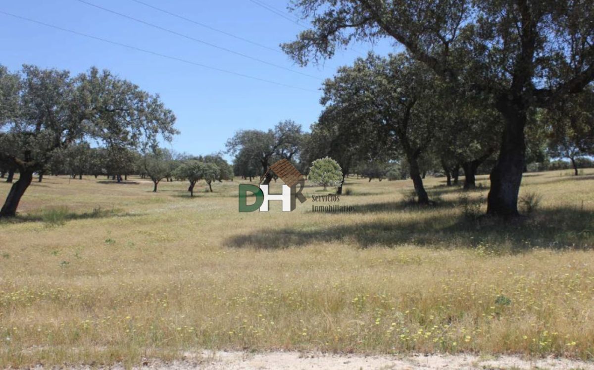 Venta de terreno en Cáceres