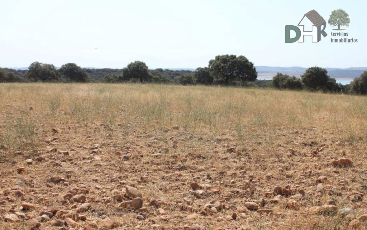 For sale of land in Cáceres