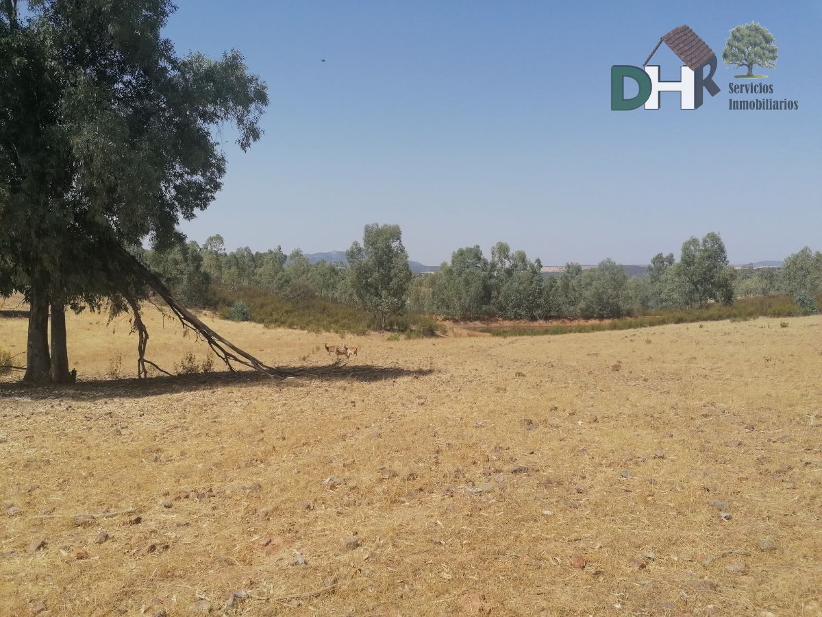 For sale of land in Badajoz