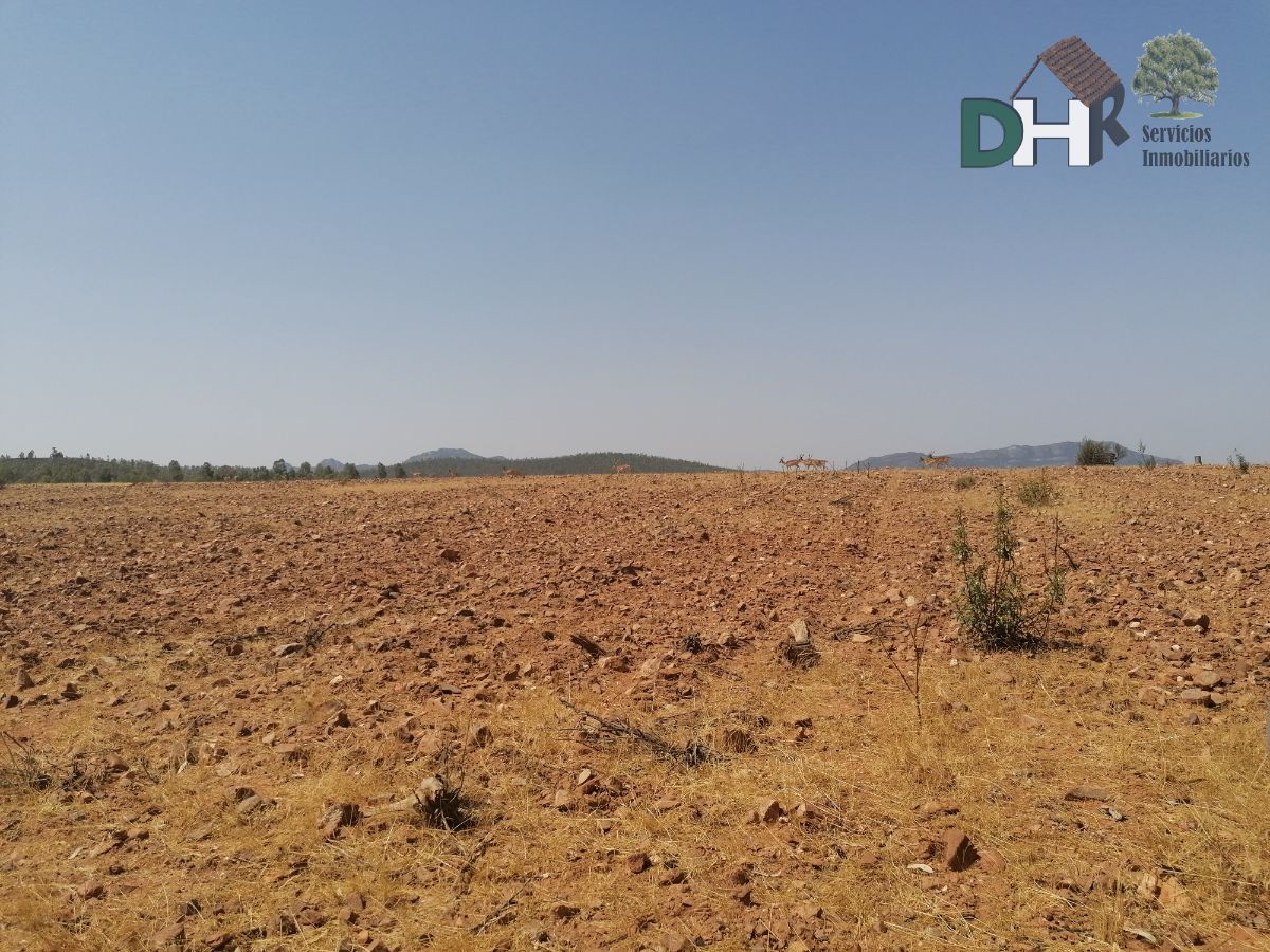 For sale of land in Badajoz