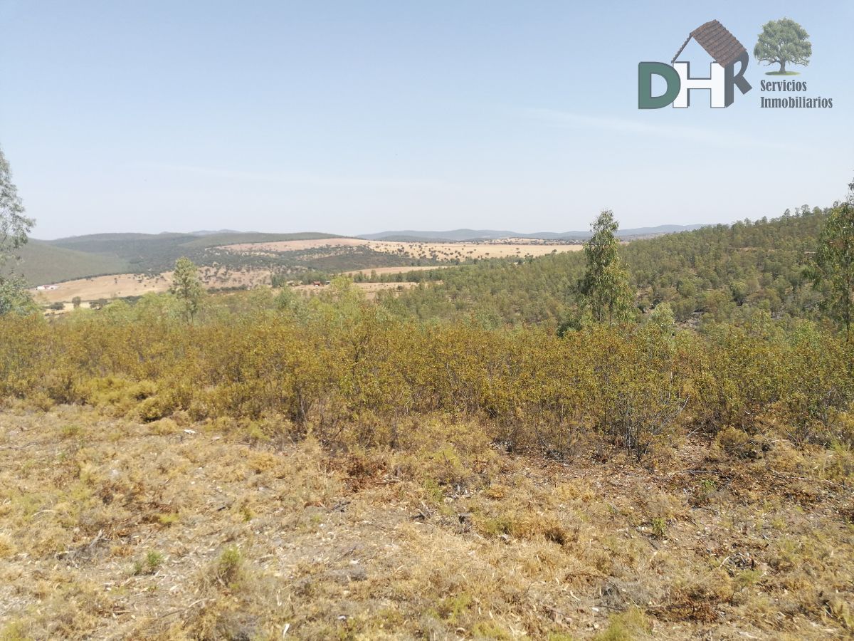 For sale of land in Badajoz