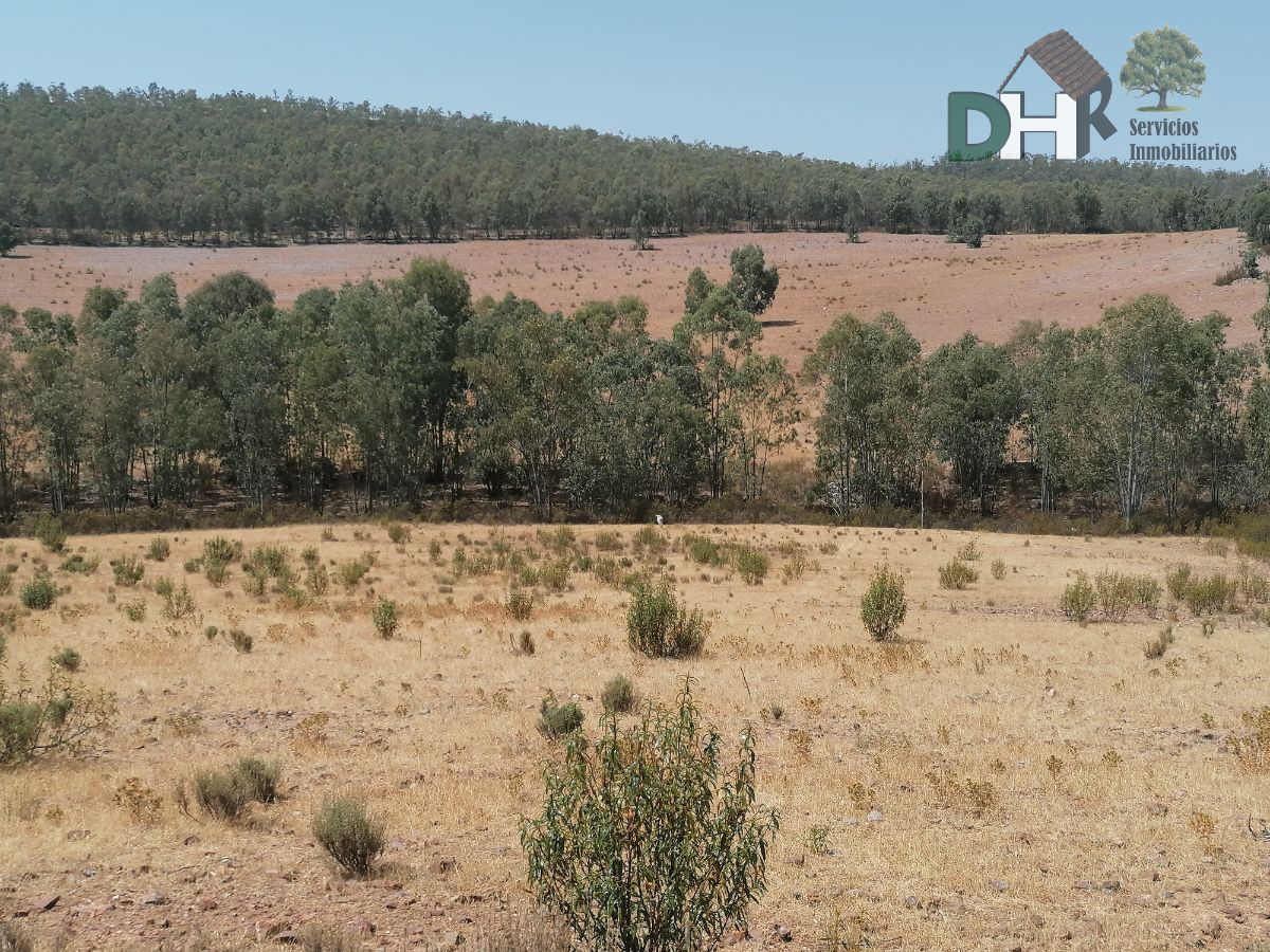 For sale of land in Badajoz