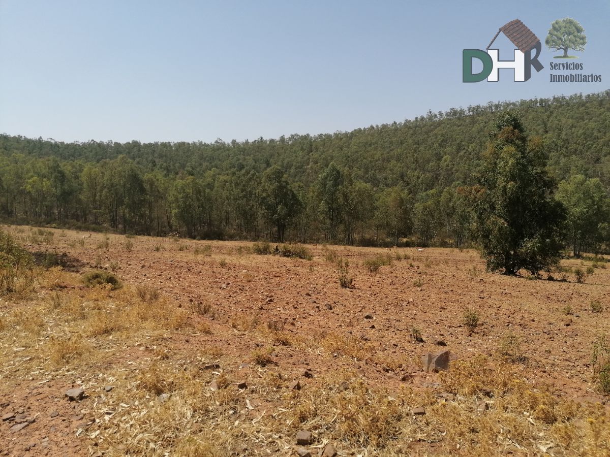 For sale of land in Hornachos