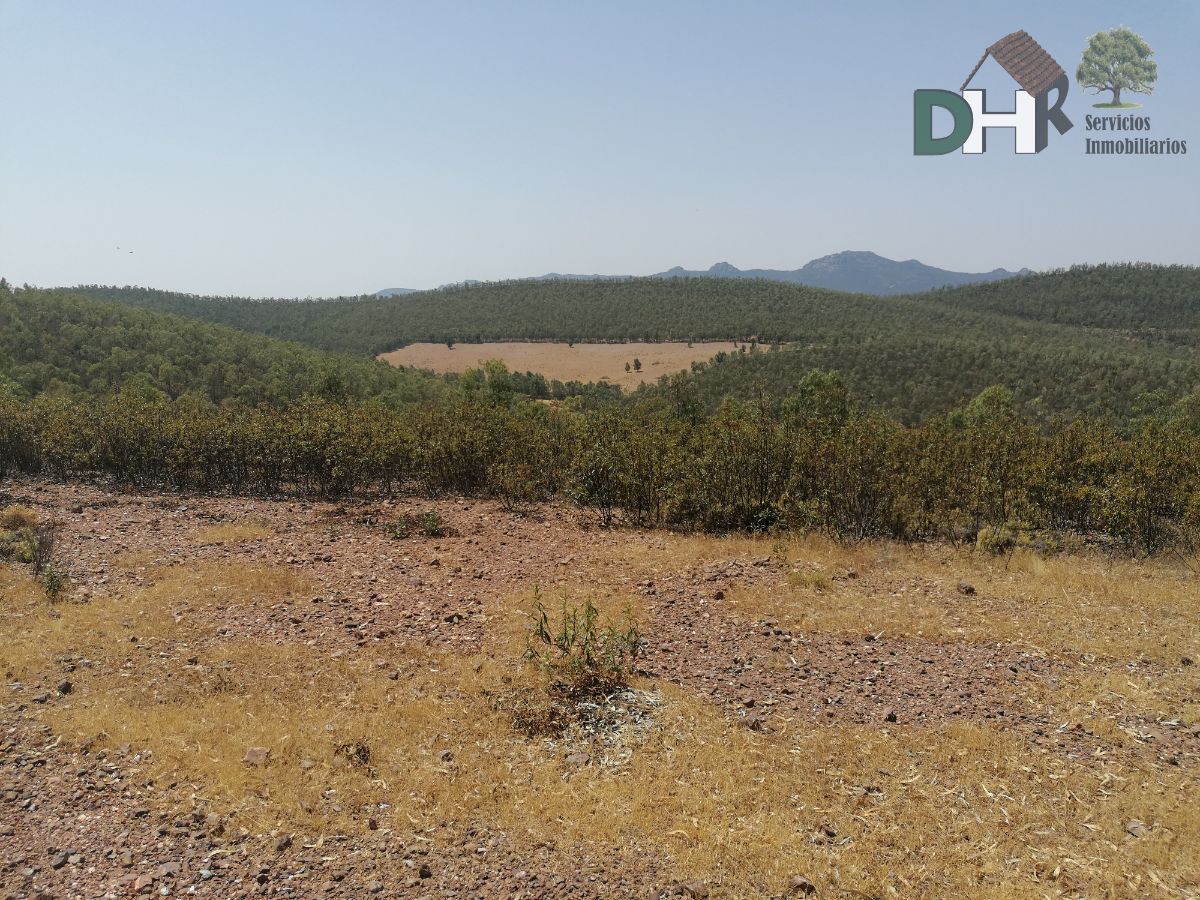 For sale of land in Badajoz